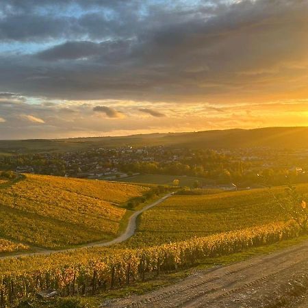 Maison De Campagne Entre Vigne Et Bois Chablis Dış mekan fotoğraf